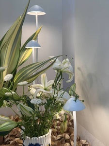 Garden Light Mushroom Design 18W IP65 Loox  