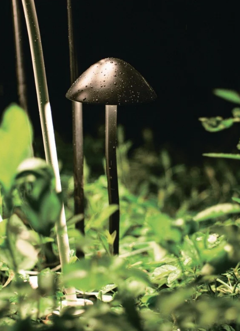 Garden Light Mushroom Design 18W IP65 Loox  