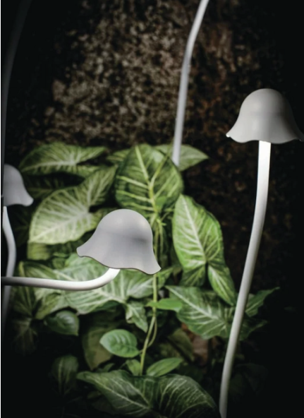 Garden Light Mushroom Design 24W IP65 Loox  