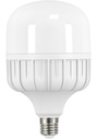 T Bulb 40W Loox