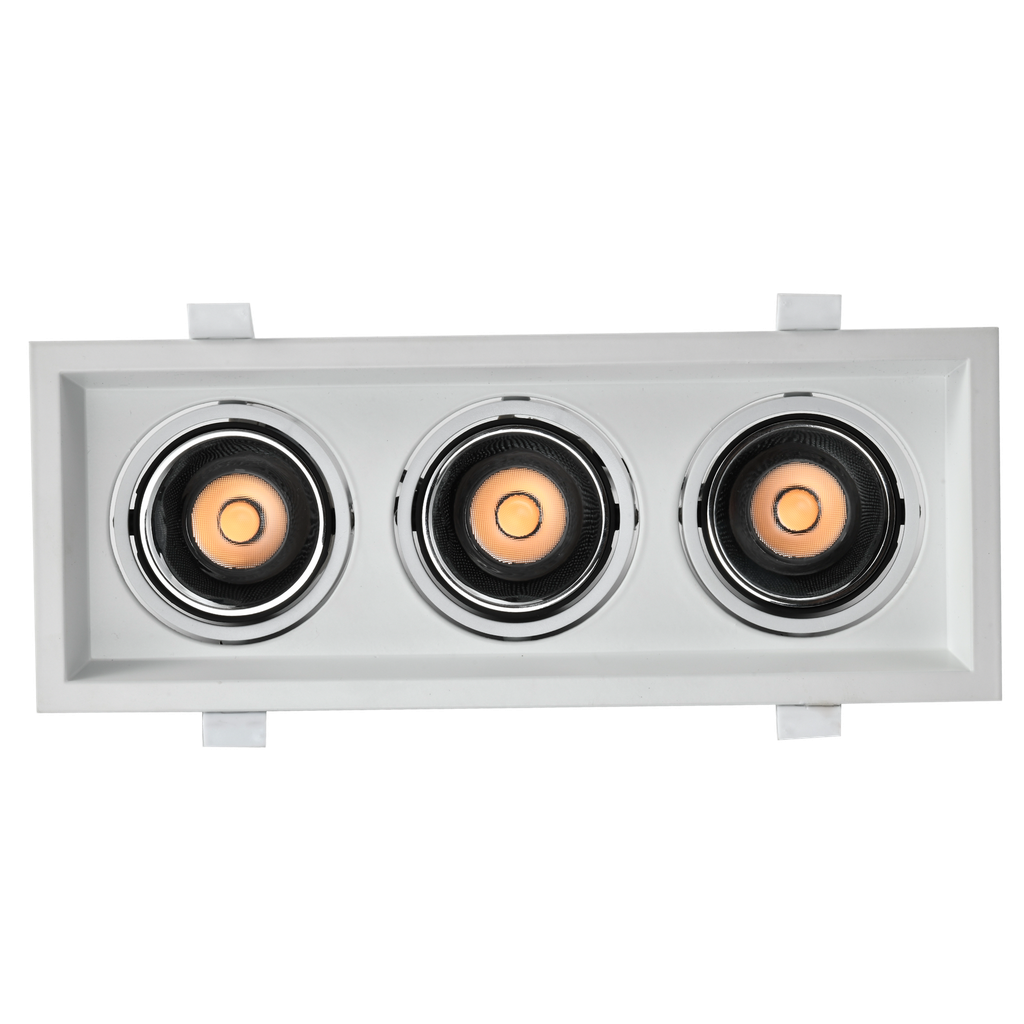 Cob Downlight 3*10w Series 1023F Loox Plus