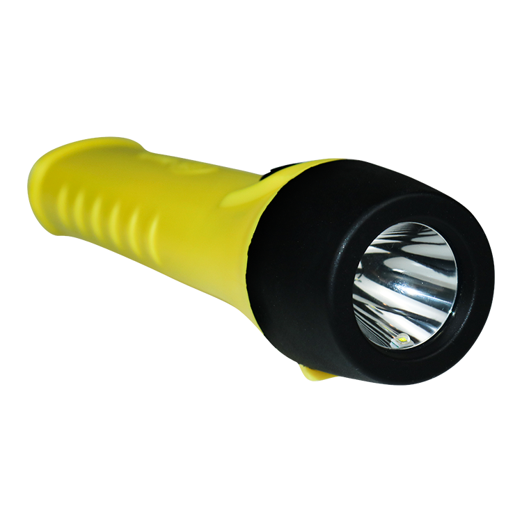Explosion Proof Torch Light 2W Zone 1 Loox