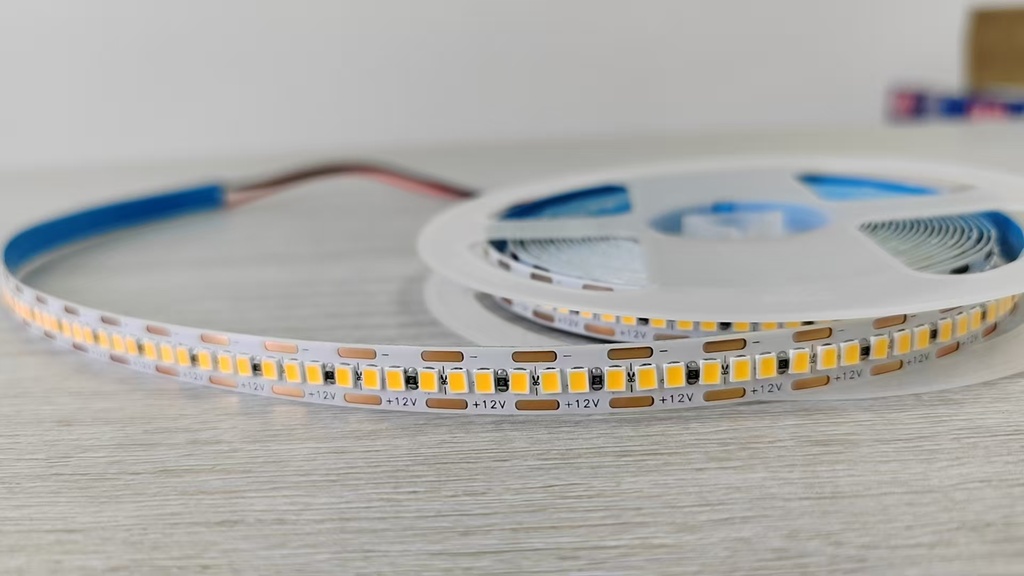 Strip Light 2835 240 12V Loox