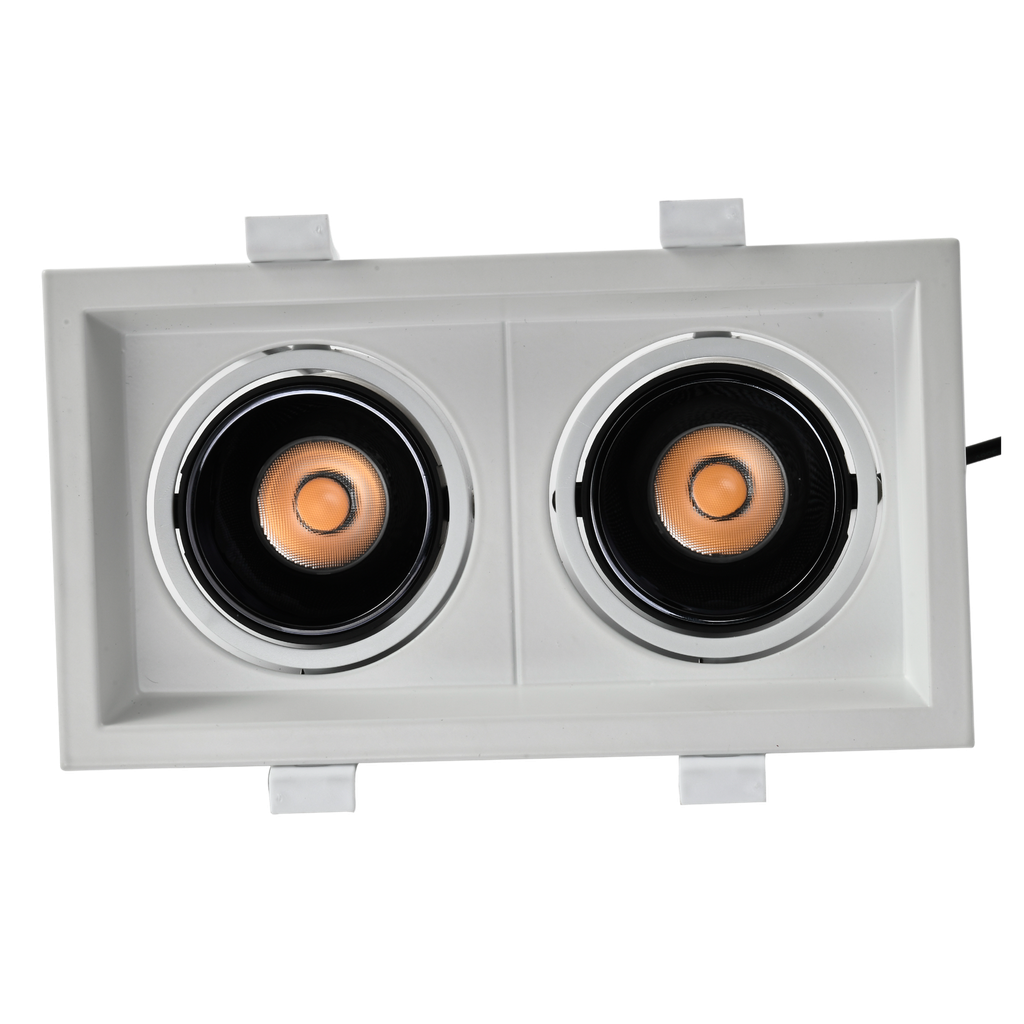 Cob Downlight 2*10w Series 1022F Loox Plus