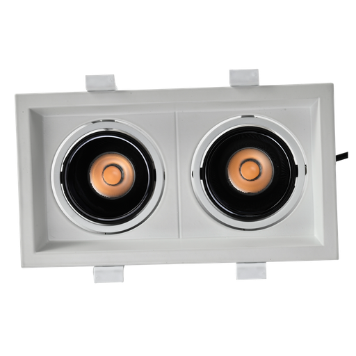 Cob Downlight 2*10w Series 1022F Loox Plus