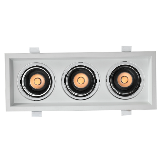 Cob Downlight 3*10w Series 1023F Loox Plus